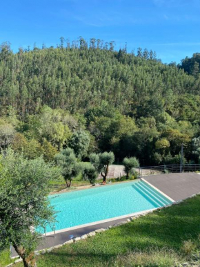 Quinta do ribeiro